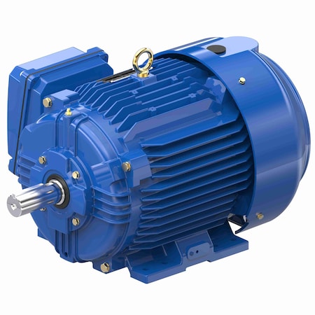 Marathon Severe Duty Motors, 10 HP, 3 phase, 1800 RPM, 230/460 V, 215T Frame, TEFC E479B